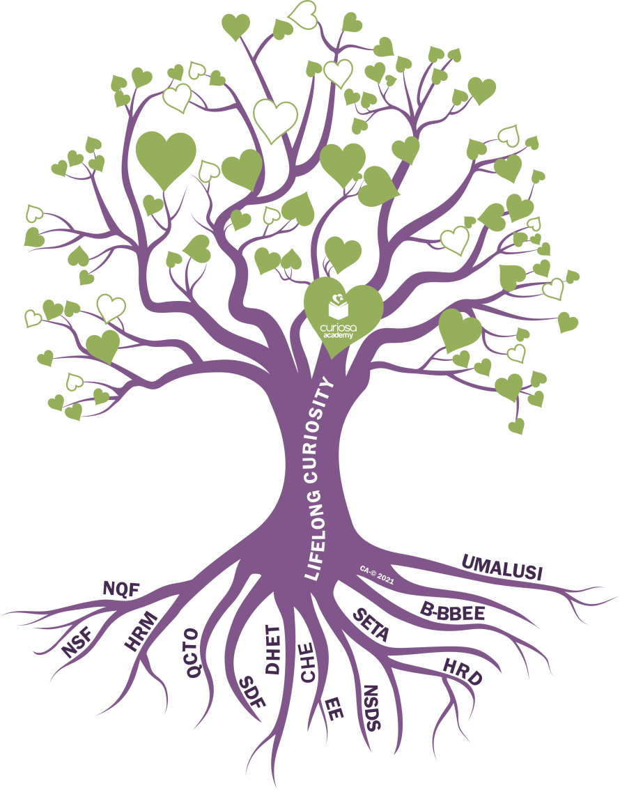 Lifelong Curiosity Tree